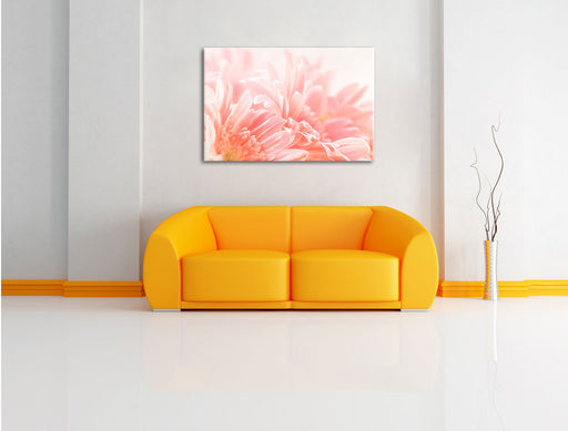 Gerbera Blume Leinwandbild über Sofa