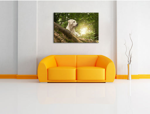 Labrador Welpe im Wald Leinwandbild über Sofa