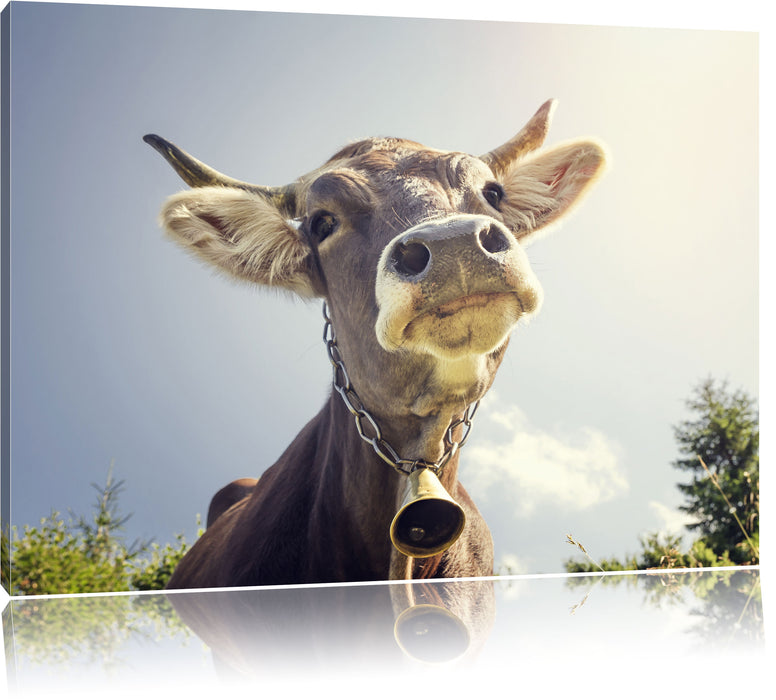 Pixxprint Lustiges Portrait einer Kuh, Leinwandbild