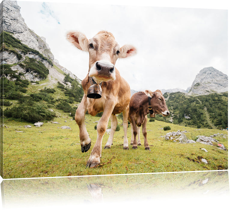 Pixxprint Almkuh auf der Weide, Leinwandbild