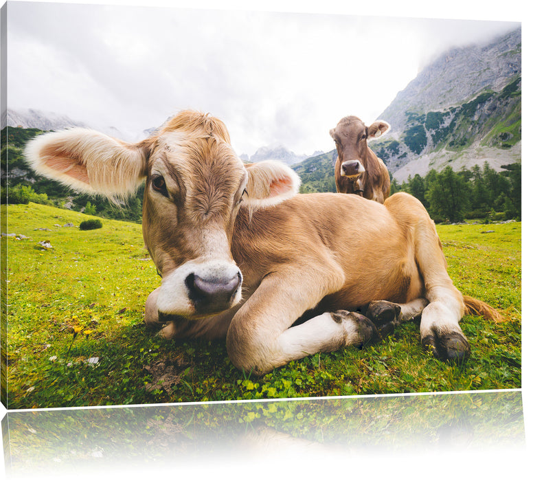 Pixxprint Almkuh in den Bergen, Leinwandbild