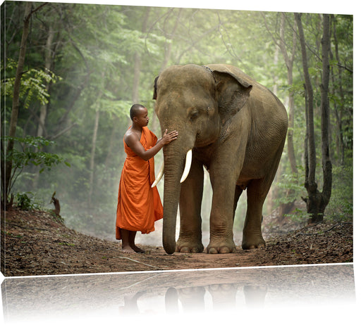 wunderschöner Elefant mit Mönch Leinwandbild