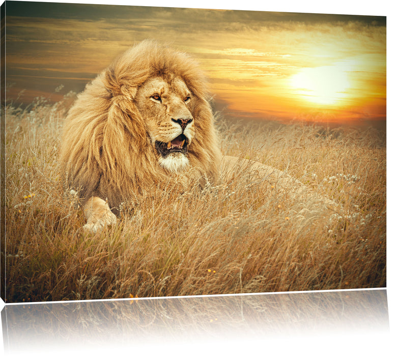 Pixxprint mächtiger Löwe, Leinwandbild