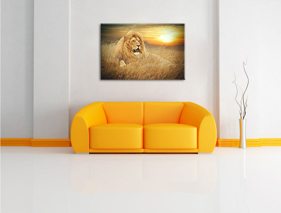 mächtiger Löwe Leinwandbild über Sofa