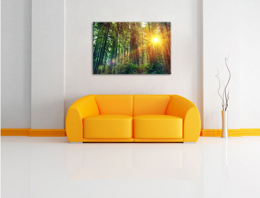 Wald bei Sonnenlicht Leinwandbild über Sofa