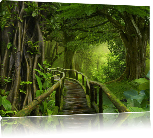 Weg durch den Tropenwald Leinwandbild