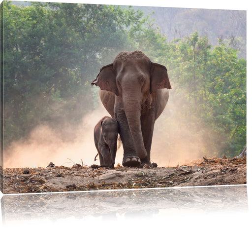 Elefantenbaby mit Mutter Leinwandbild