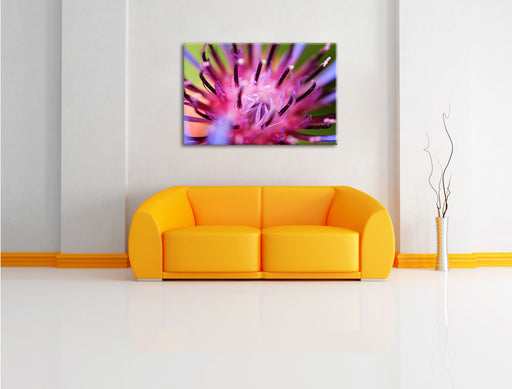 wunderschöne lila Blume im Fokus Leinwandbild über Sofa