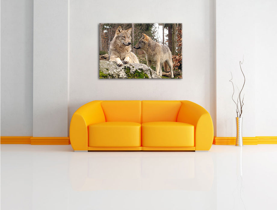 Wölfe im Wald Leinwandbild über Sofa