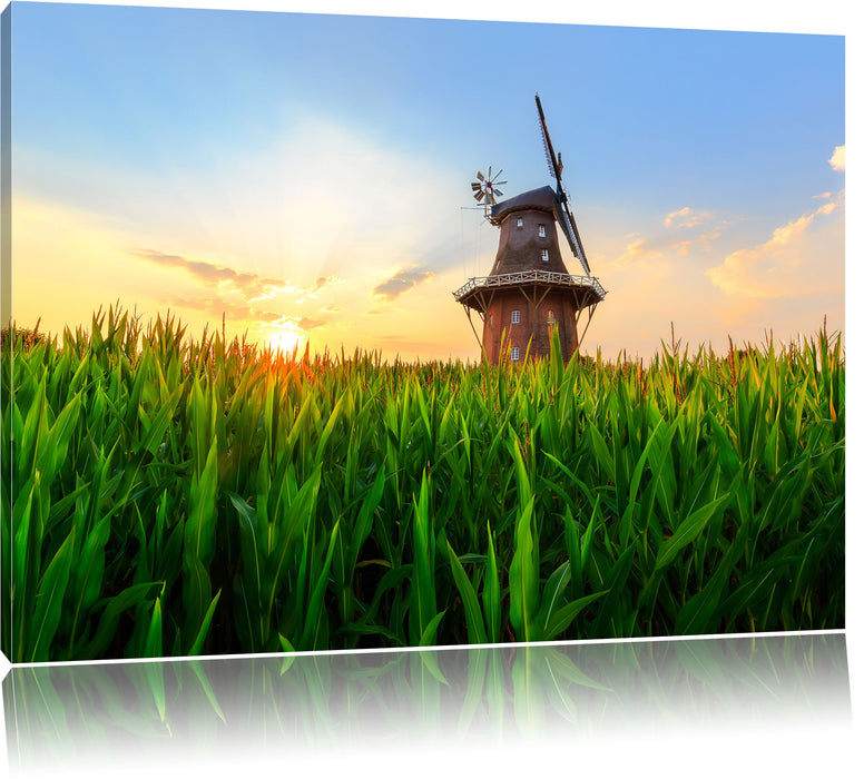 Pixxprint schöne Windmühle auf dem Feld, Leinwandbild