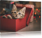 süsses Kätzchen in der Box Leinwandbild