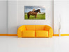 zwei Pferde auf der Wiese Leinwandbild über Sofa