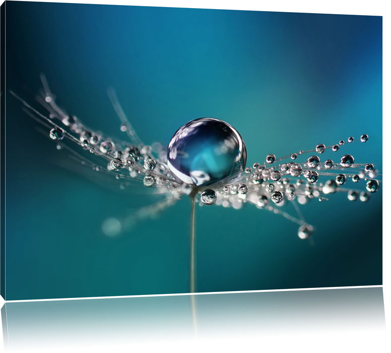 Pixxprint Wassertropfen an Pusteblume, Leinwandbild