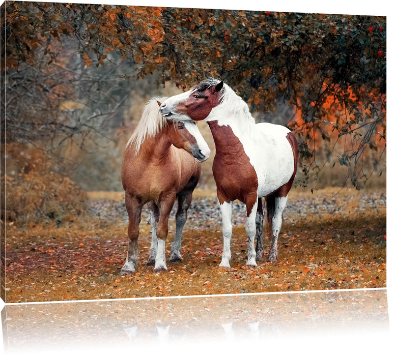 Pixxprint zwei schmusende Pferde, Leinwandbild