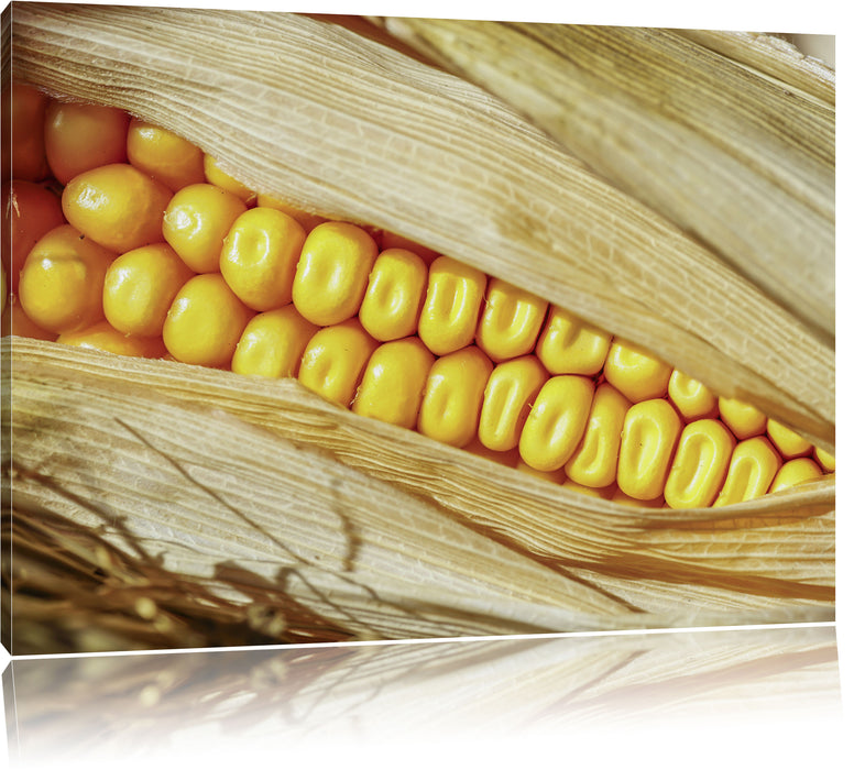 Pixxprint Maiskolben in der Nahaufnahme, Leinwandbild
