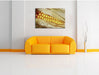 Maiskolben in der Nahaufnahme Leinwandbild über Sofa
