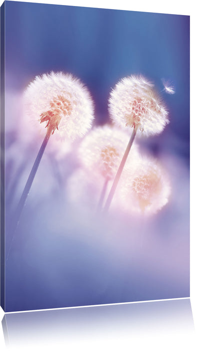 Pixxprint Pusteblumen im morgendlichen Wind, Leinwandbild