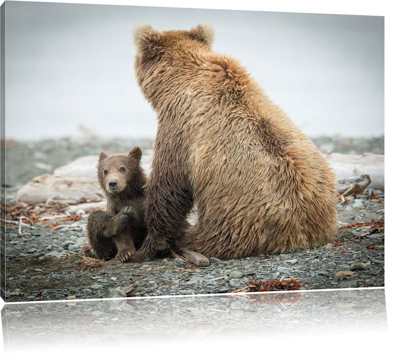 Pixxprint Bär mit Baby nach dem Baden, Leinwandbild