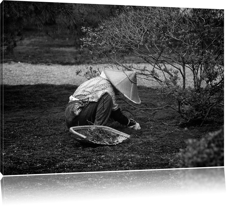 Pixxprint japanischer Gärtner bei der Arbeit, Leinwandbild
