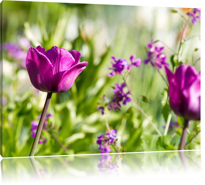 Pixxprint Blumen im Sonnenschein, Leinwandbild