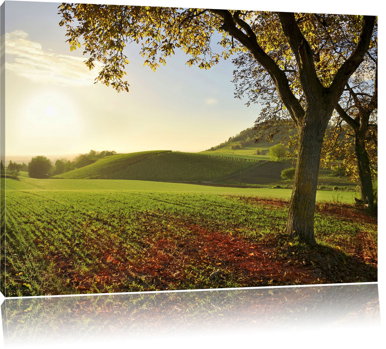Pixxprint Landschaft im Herbst, Leinwandbild