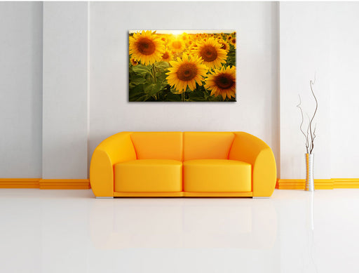 Sonnenblumen auf dem Feld Leinwandbild über Sofa