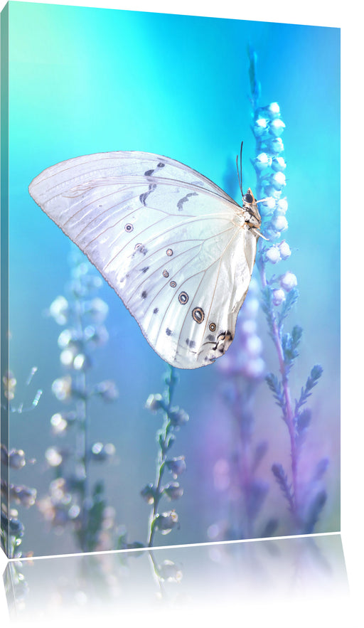 Schmetterling auf Blütenknospen Leinwandbild