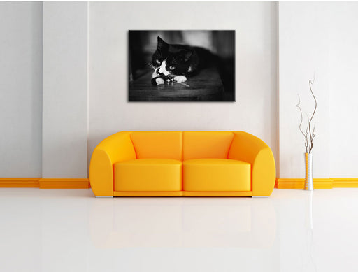 Katze spielt mit Ehering Leinwandbild über Sofa