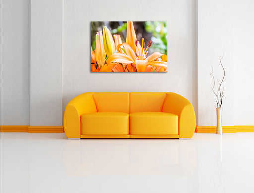 schöne orangene Lilien Leinwandbild über Sofa