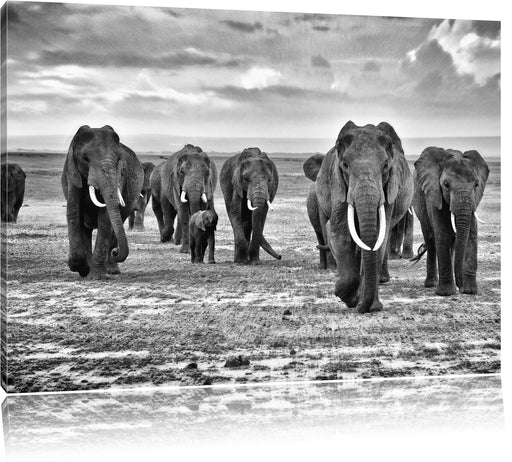 Elefanten Familie in der Savanne Leinwandbild