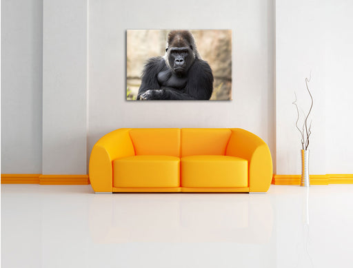 gelangweilter Gorilla Leinwandbild über Sofa