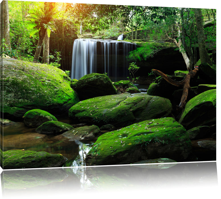 Pixxprint Regenwald in Thailand, Leinwandbild