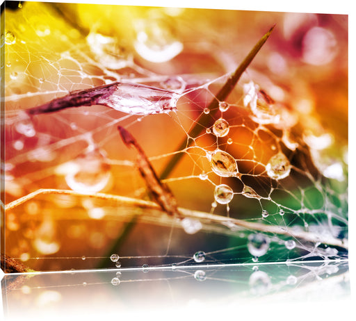 Spinnennetz mit Wassertropfen Leinwandbild