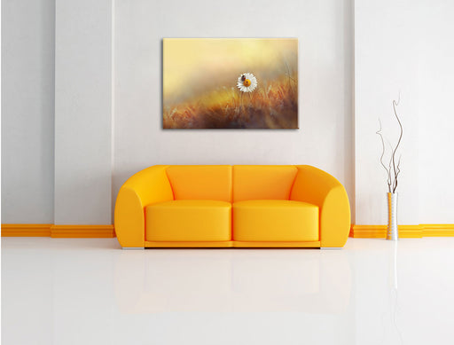 Gänseblümchen mit Marienkäfer Leinwandbild über Sofa