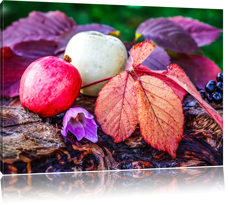 Pixxprint Äpfel und Bläter im Herbst, Leinwandbild