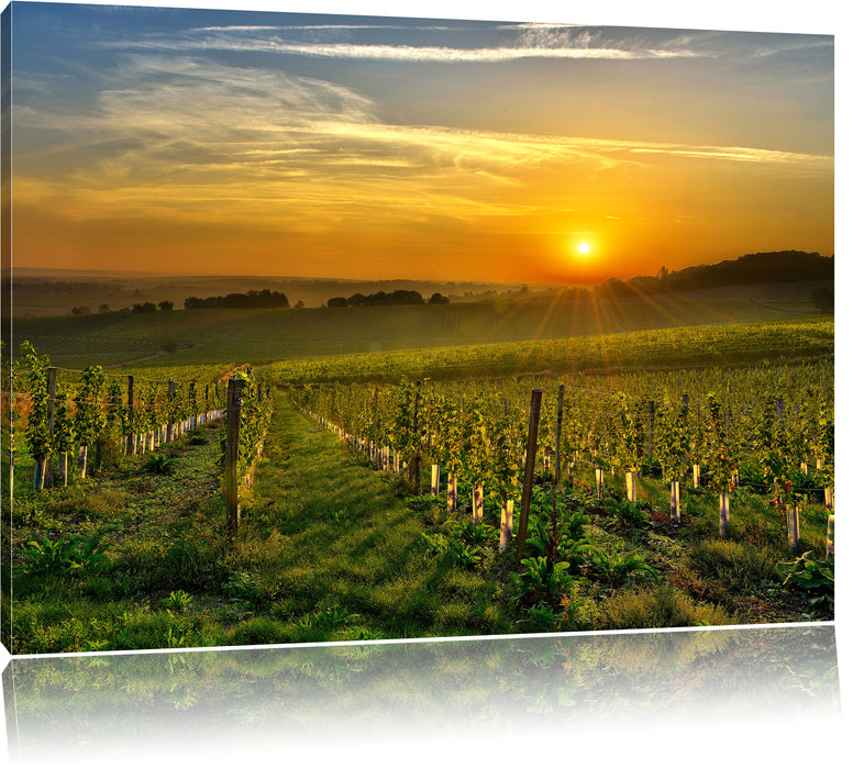 Pixxprint Weinberg in Bergerac Frankreich, Leinwandbild