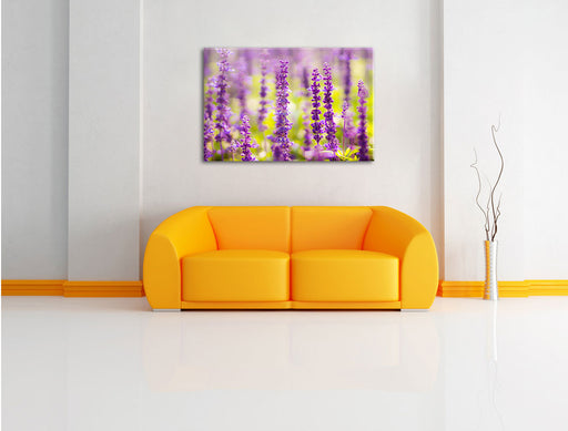 schöne violette Lavendelblüten Leinwandbild über Sofa