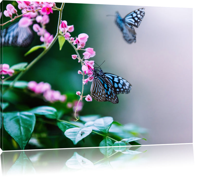 Pixxprint Schmetterlinge auf rosa Blumen, Leinwandbild