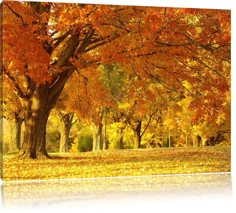schöne Herbstlandschaft Leinwandbild