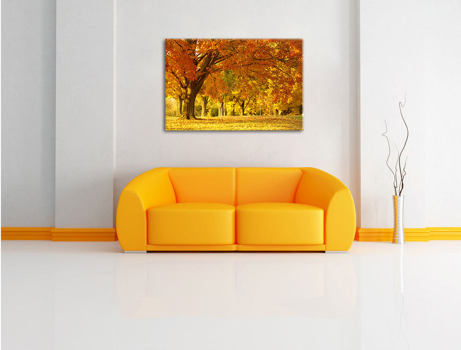 schöne Herbstlandschaft Leinwandbild über Sofa