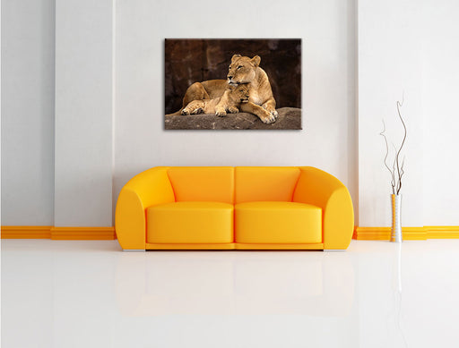 Löwe mit Löwenjungen Leinwandbild über Sofa