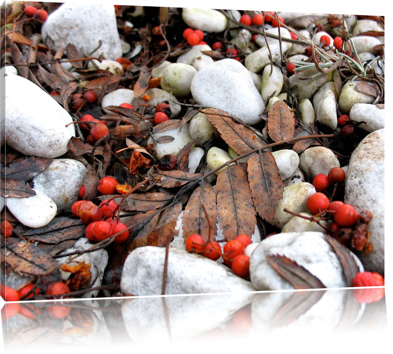 Pixxprint Herbst und Beeren, Leinwandbild