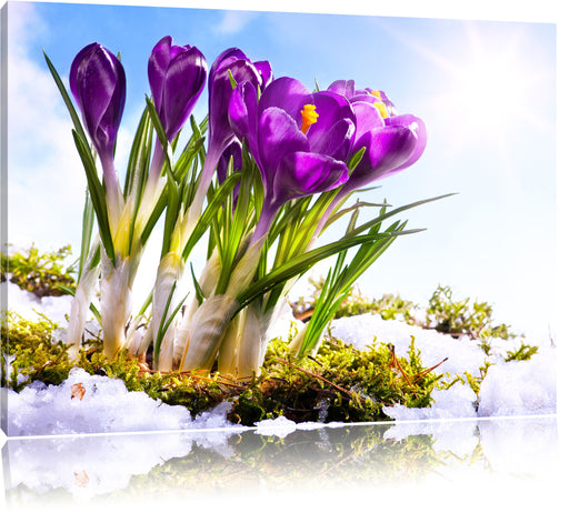 Kunst Frühling flower Hintergrund Leinwandbild