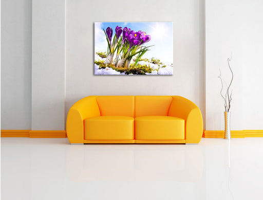 Kunst Frühling flower Hintergrund Leinwandbild über Sofa