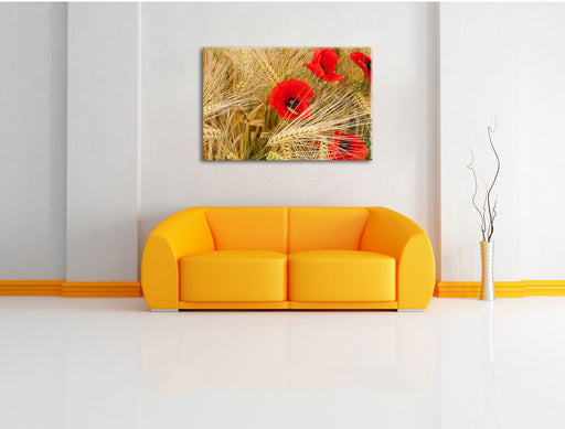 Mohnblumen auf dem Mais-Feld Leinwandbild über Sofa