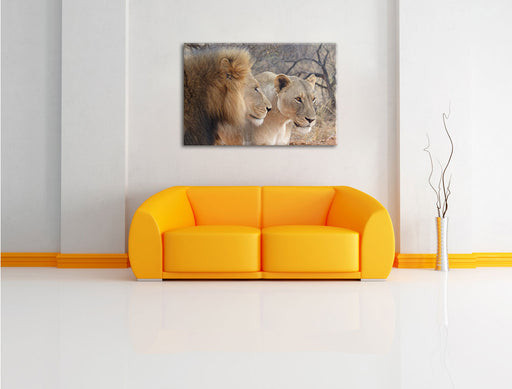 stolzes Löwenpaar Leinwandbild über Sofa