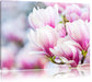 zarte rosa farbende Blüten Leinwandbild