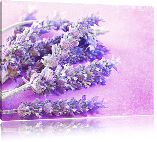 getrockneter Lavendel Leinwandbild