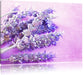 getrockneter Lavendel Leinwandbild