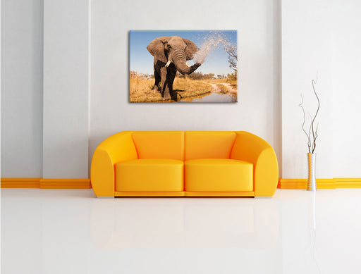 schöner Elefant spritzt mit Wasser Leinwandbild über Sofa
